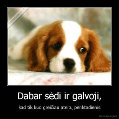 Dabar sėdi ir galvoji, - kad tik kuo greičiau ateitų penktadienis