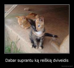 Dabar suprantu ką reiškią dviveidis - 