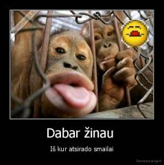 Dabar žinau  - Iš kur atsirado smailai