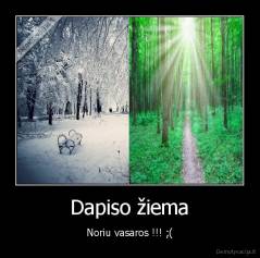 Dapiso žiema - Noriu vasaros !!! ;(