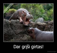 Dar grįši girtas! - 