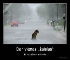 Dar vienas „žaislas“ - Kuris kažkam atsibodo