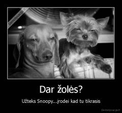 Dar žolės? - Užteks Snoopy...įrodei kad tu tikrasis