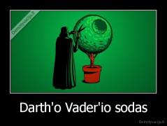 Darth'o Vader'io sodas - 