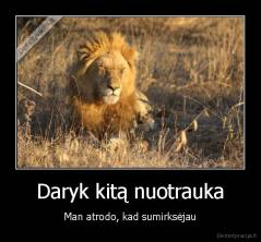 Daryk kitą nuotrauka - Man atrodo, kad sumirksėjau