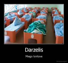 Darzelis - Miego tvirtove