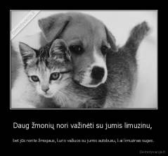 Daug žmonių nori važinėti su jumis limuzinu,  - bet jūs norite žmogaus, kuris važiuos su jumis autobusu, kai limuzinas suges.