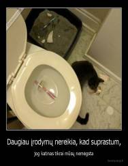 Daugiau įrodymų nereikia, kad suprastum, - jog katinas tikrai mūsų nemėgsta