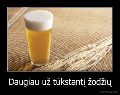 Daugiau už tūkstantį žodžių - 