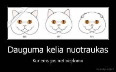 Dauguma kelia nuotraukas - Kuriems jos net neįdomu