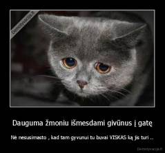 Dauguma žmoniu išmesdami givūnus į gatę - Nė nesusimasto , kad tam gyvunui tu buvai VISKAS ką jis turi ..