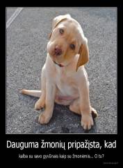 Dauguma žmonių pripažįsta, kad - kalba su savo gyvūnais kaip su žmonėmis... O tu?
