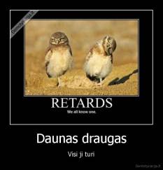 Daunas draugas - Visi ji turi