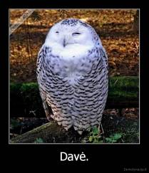 Davė. - 