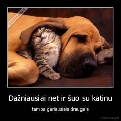 Dažniausiai net ir šuo su katinu - tampa geriausiais draugais