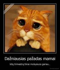 Dažniausias pažadas mamai - kitą trimestrą tikrai mokysiuos geriau..