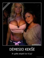 DĖMESIO KEKŠĖ - Ar galite atspėti kuri iš jų?