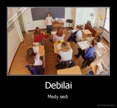 Debilai - Medy sedi 