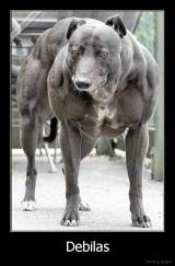 Debilas - 