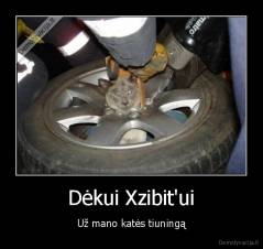 Dėkui Xzibit'ui - Už mano katės tiuningą