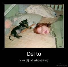 Dėl to - ir vertėjo dresiruoti šunį