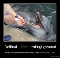 Delfinai - labai protingi gyvunai - patekę į nelaisvę išmoko žmones atsistoti ant baseino krašto ir metyt į jį žuvis