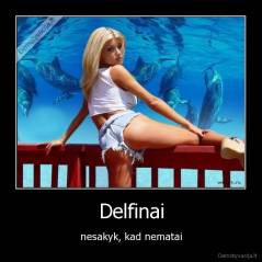 Delfinai - nesakyk, kad nematai