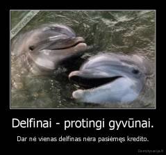 Delfinai - protingi gyvūnai. - Dar nė vienas delfinas nėra pasiėmęs kredito.