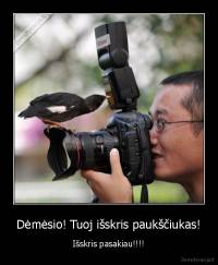 Dėmėsio! Tuoj išskris paukščiukas! - Išskris pasakiau!!!!
