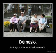 Dėmesio, - teritorija stebima vaizdo kameromis.