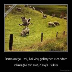 Demokratija - tai, kai visų galimybės vienodos: - vilkais gali ėsti avis, o avys - vilkus
