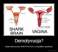 Demotyvuoja? - Pajusk skirtumą tarp DEMOTYVACIJOS ir mergaitišku sapalionių!!