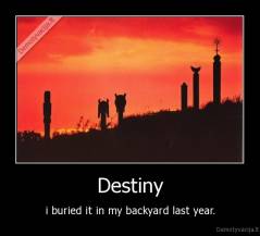 Destiny - i buried it in my backyard last year.