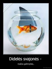 Didelės svajonės -  - mažos galimybės..