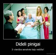 Dideli pinigai - Ir vienišos senatvės kaip nebūta!