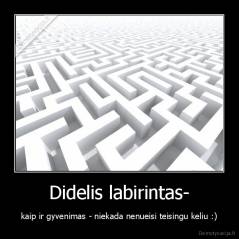 Didelis labirintas- - kaip ir gyvenimas - niekada nenueisi teisingu keliu :)