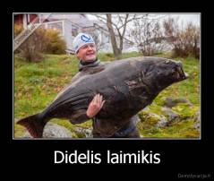 Didelis laimikis - 