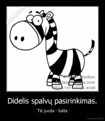 Didelis spalvų pasirinkimas. - Tik juoda - balta