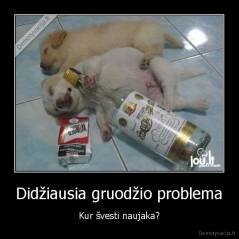 Didžiausia gruodžio problema - Kur švesti naujaka?