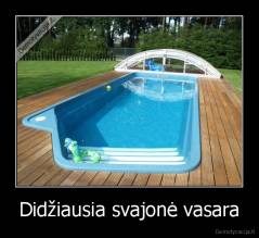 Didžiausia svajonė vasara - 