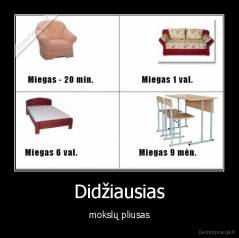 Didžiausias - mokslų pliusas