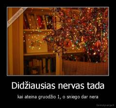 Didžiausias nervas tada - kai ateina gruodžio 1, o sniego dar nera