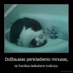 Didžiausias penktadienio minusas, - tai žvėriškas šeštadienio troškulys.