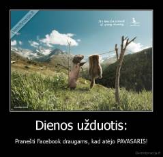 Dienos užduotis: - Pranešti Facebook draugams, kad atėjo PAVASARIS!