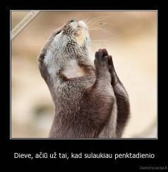 Dieve, ačiū už tai, kad sulaukiau penktadienio - 