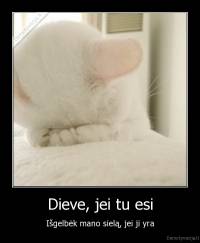 Dieve, jei tu esi - Išgelbėk mano sielą, jei ji yra