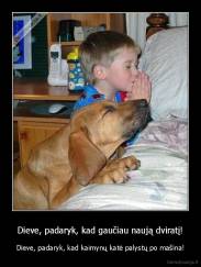 Dieve, padaryk, kad gaučiau naują dviratį! - Dieve, padaryk, kad kaimynų katė palystų po mašina!