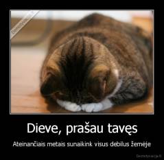 Dieve, prašau tavęs - Ateinančiais metais sunaikink visus debilus žemėje