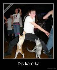 Dis katė ka - 
