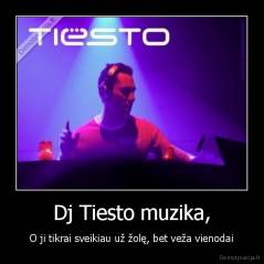 Dj Tiesto muzika, - O ji tikrai sveikiau už žolę, bet veža vienodai